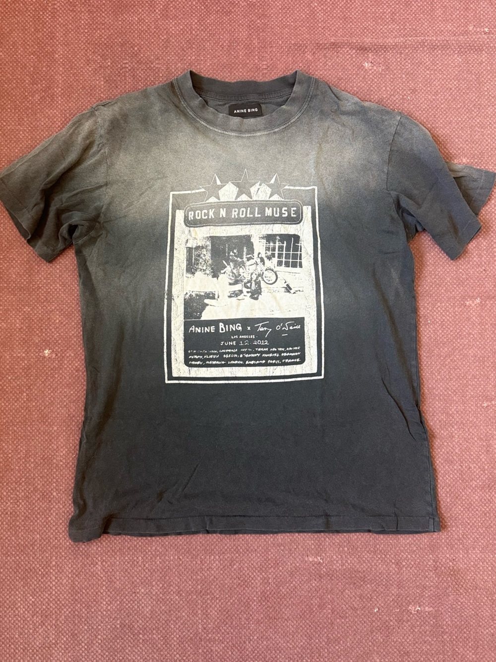 Anine Bing Lili tee Rolling stone tee